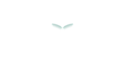 Vanguard Logo - White Updated